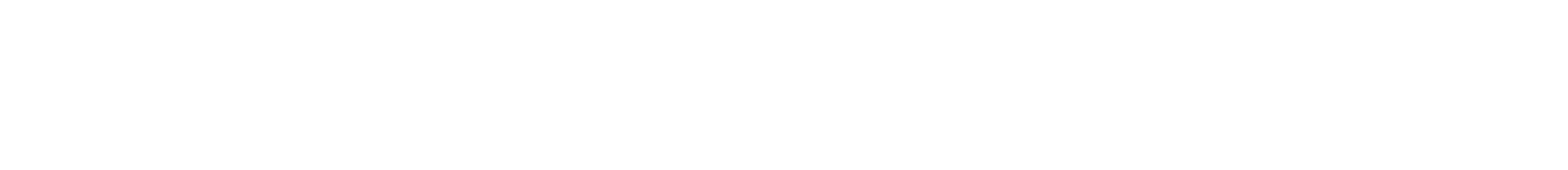 Wordmark mono white